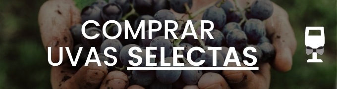 Comprar Vinos Hechos Con Uvas Selectas