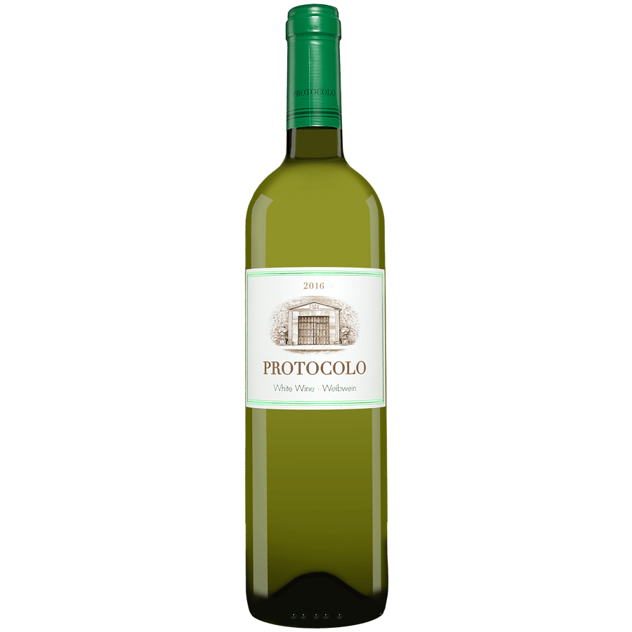 Protocolo Blanco.png