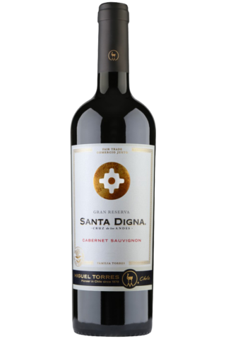 Vinotorreschilesantadignacabernetsauvignon750.png