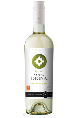 Vinotorreschilesantadignasauvignonblanc750.png