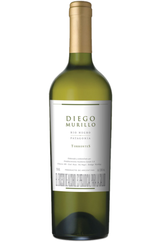 Diego Murillo Torrontes.png