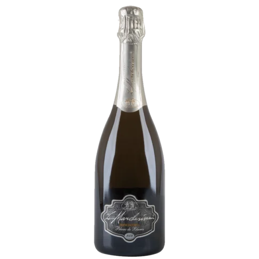 Franciacorta Blanc De Blancs Docg.png