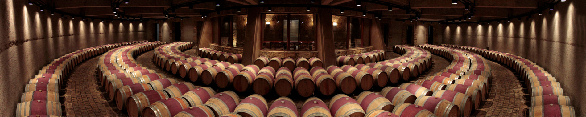 sala de barriles vino catena