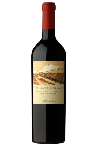 adrianna vineyard mundus bacillus terrae.png