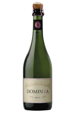 vino espumante dominga brut rose chardonnay pinot noir.png