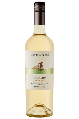 vino morande pionero reserva sauvignon blanc 750.png