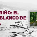 albariño el vino blanco de moda