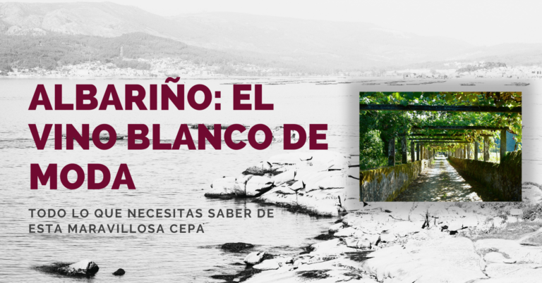 albariño el vino blanco de moda