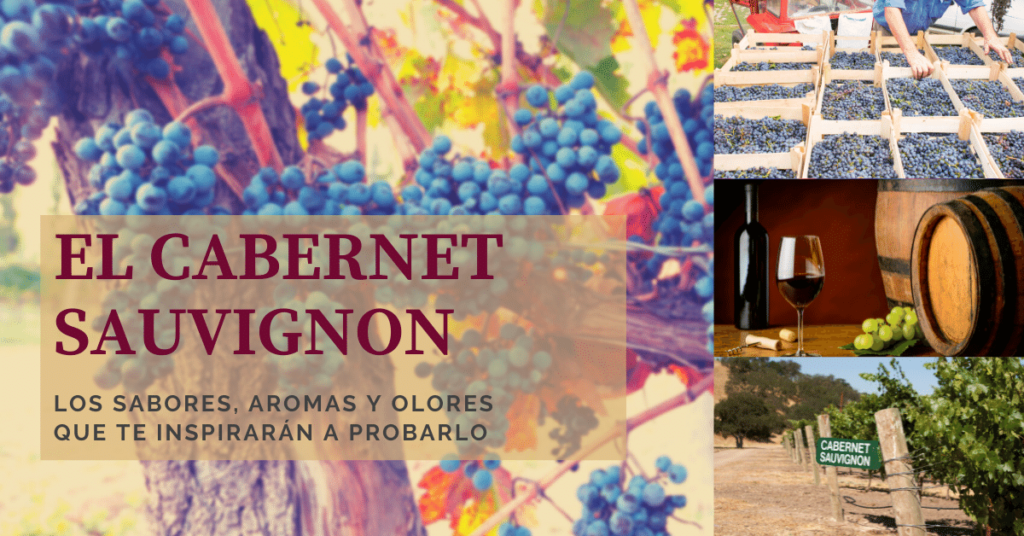 El Sauvignon los sabores, aromas y olores que te inspirarán a