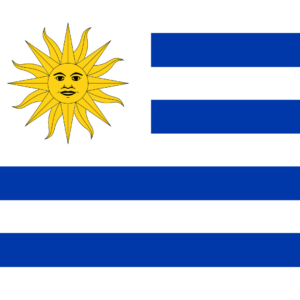 vinos de uruguay